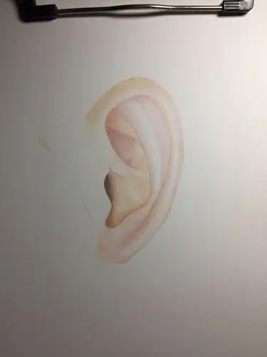 纯彩铅手绘真人耳朵,用到辉柏嘉水溶性,油性彩铅