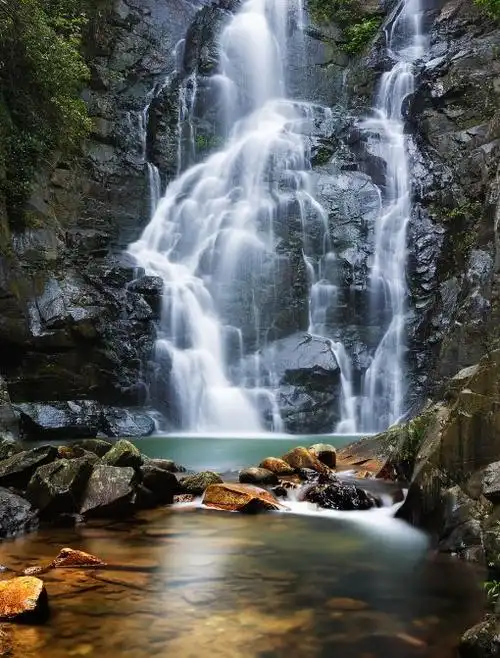 福利大派送学生暑期免费畅游明月山