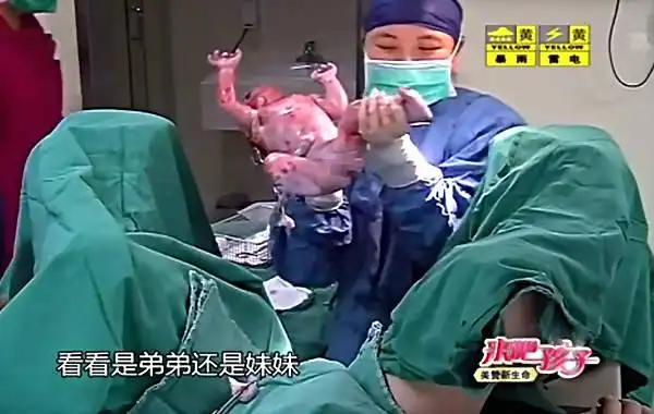 深圳卫视震撼产子真人秀开播生产全程曝光(图)