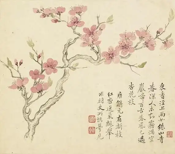 故宫花信杏花鹧鸪声里雨丝斜开遍千花与万花