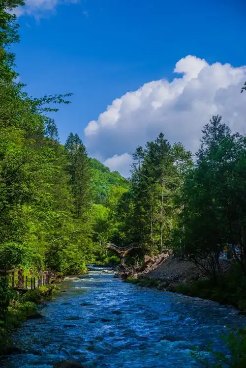 长白山行望天鹅风景区二