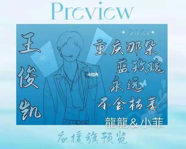 王俊凯原创应援大旗来辽