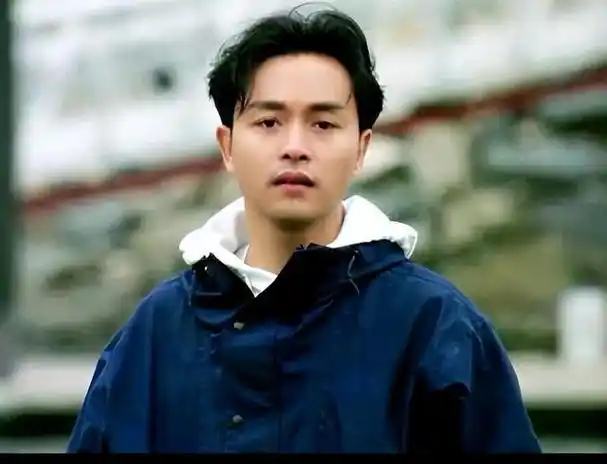 张国荣经典电影有哪些(张国荣最经典的十部作品)(2)