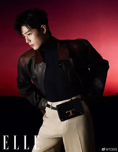 肖战 高贵冷艳【邪魅】