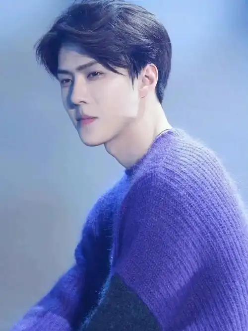 如果让我形容吴世勋