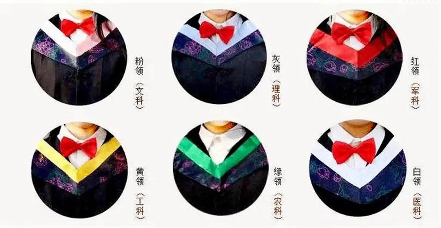 如何根据学士服衣领颜色区分所学专业类别?