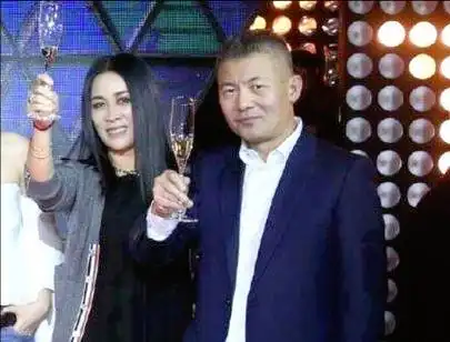 那英儿子几岁哪一年出生(那英高峰儿子个人资料)