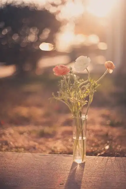 最美的时光 唯美意境图片