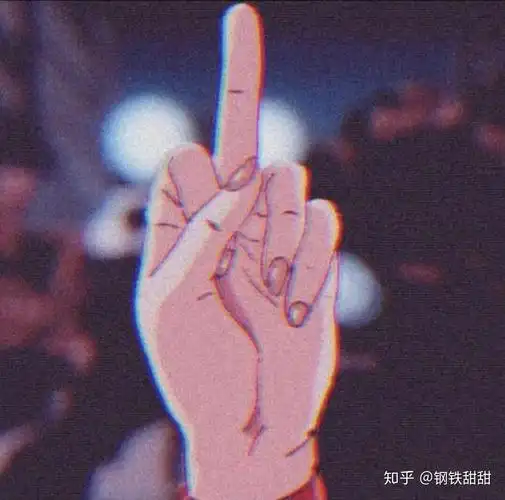 竖中指头像好看的那种