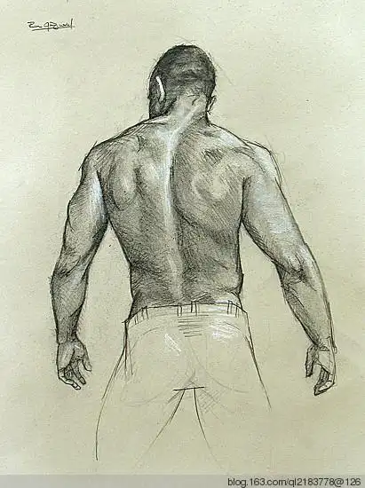 griswold素描男人体