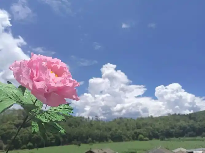 蓝天白云与#皱纹纸牡丹  很相配