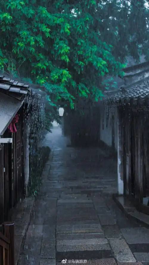 今天#乌镇#下#雨#了.或许,烟雨江南才是你眼中的真江南.