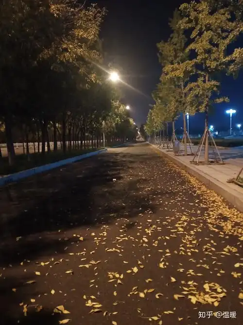 作为女生总是有冲动一个人半夜出去散步怎么办? - 知乎