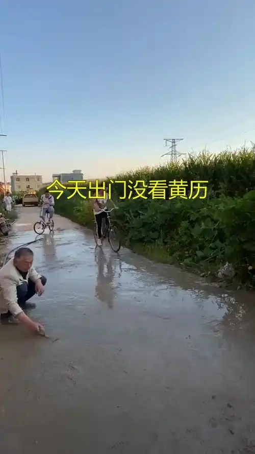 每日逗你笑#今天出门没看黄历