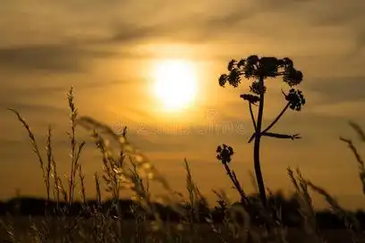 在等你插画-在等你配图-千库网