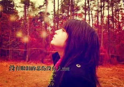 从此忘记一个人的句子 学会放下不属于自己的感情 - 唯美句子- 不二