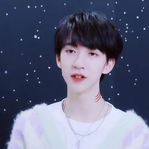 tnt时代少年团贺峻霖自截自调头像②转标明拿图dd dt宋峄.