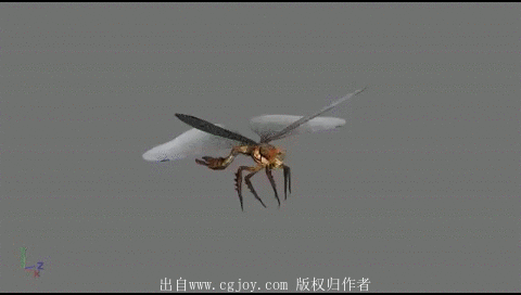 幽灵 蜻蜓 人形翅膀怪等怪物的攻击 死亡 击倒 飞行 休闲 待机 走 跑