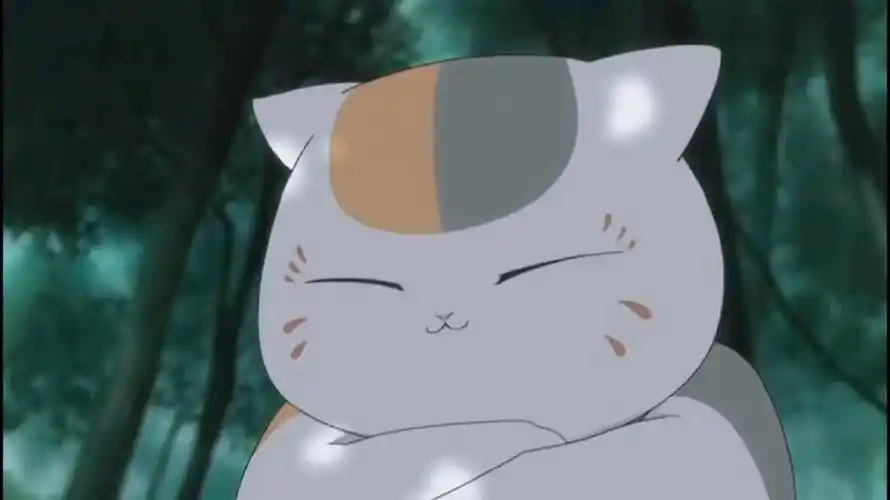 猫咪老师一定和大馒头一样软吧[doge]#夏目友人帐猫咪老师