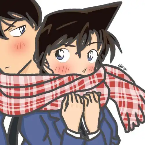 名侦探柯南##工藤新一##毛利兰##新兰