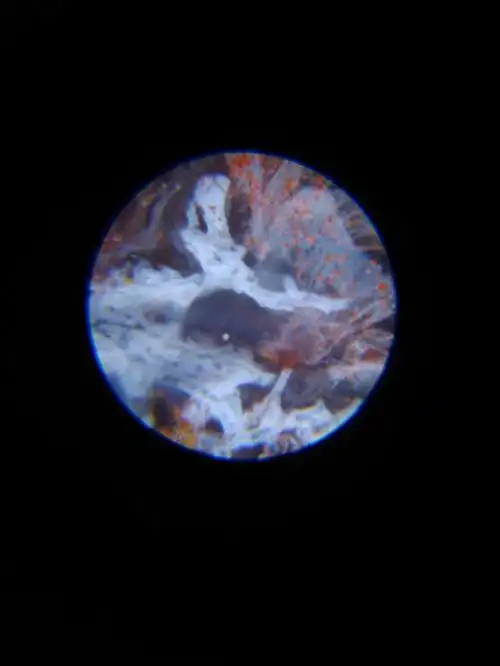 放大六十倍看玛瑙