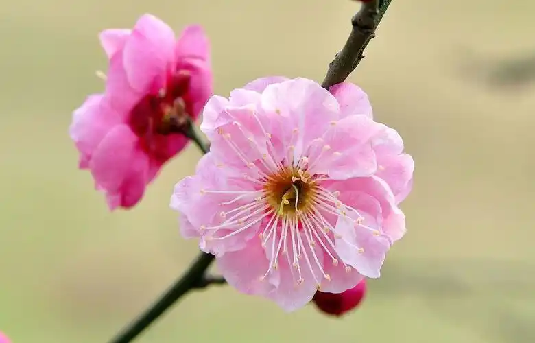 sec           iso:    640           曝光补偿:    1 ev 查看大图