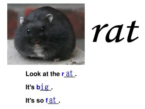 新人教版pep小学英语三年级下册三年级英语下册_unit3