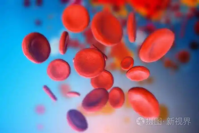 身体显微镜下红细胞红细胞特写的三维插图科学医学背景概念