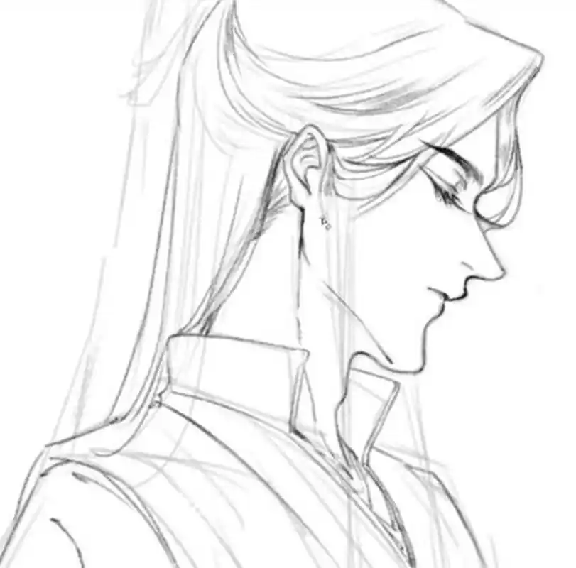 这侧脸的画风看了半天,总感觉像天官赐福漫画的画风.