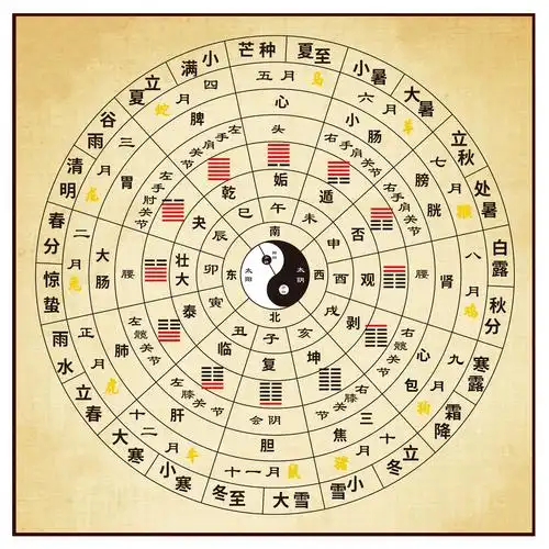 阴阳五行,天干地支,二十四节气,易经应用必须掌握的基础知识_生肖运程