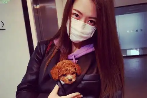 娱乐圈中姓白的明星,白冰,白百何是大美人,还有位怎么捧也没红