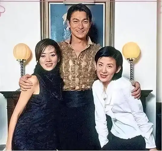 2003年梅艳芳弥留之际多次吩咐保镖我死都不见那两个人