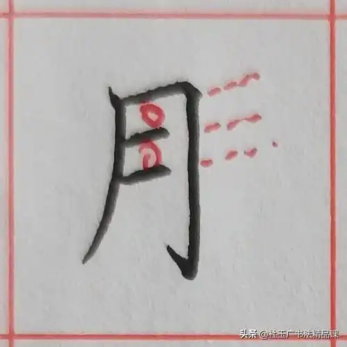 月的笔顺,月的笔顺图片(规范字书写要点归纳)
