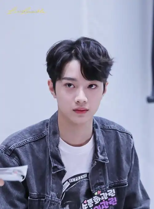 赖冠霖 laikuanlin wanna one