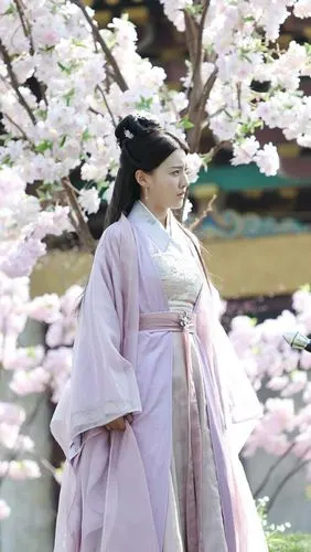 艳骨 静姝 王鹤润