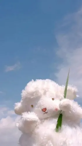 分享系一些手机壁纸聊天背景可爱治愈的送给选择困难的小可爱们00