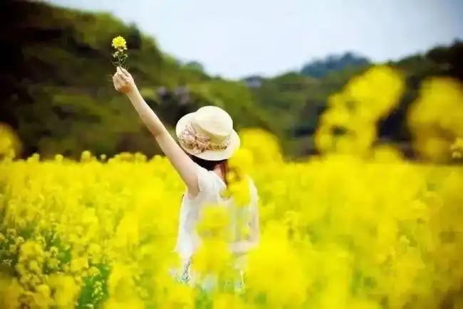 世界上最通透的十句话