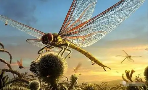 史上最大昆虫, 巨脉蜻蜓体长2.4米, 诞生和灭绝皆由于氧气含量