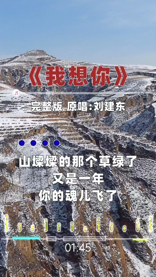 歌曲我想你_歌曲我想你原唱刘建东_歌曲我想你简谱 - 抖音