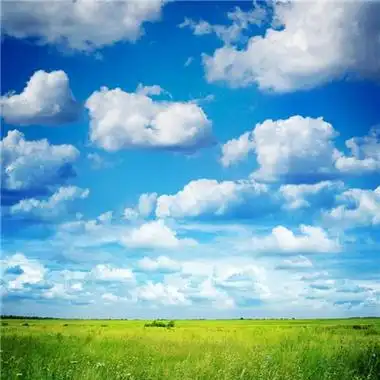 微信最吉好看头像绿色草原_好运的微信头像图片温馨_会带来好运的微信