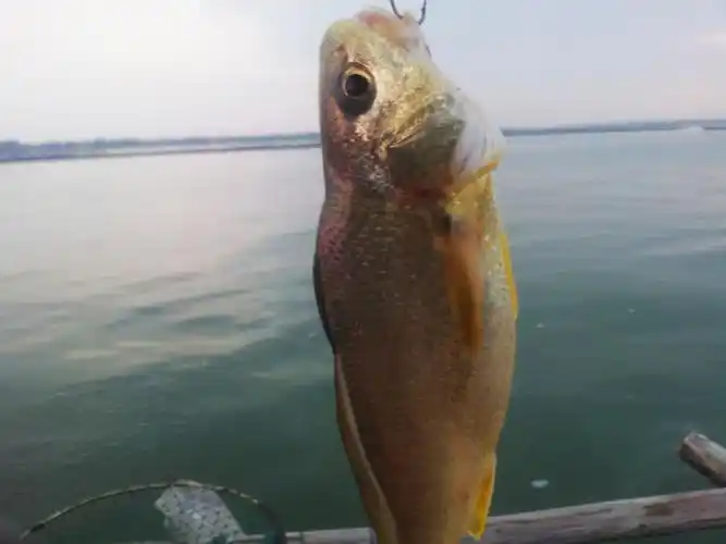 27 今天沙角当排长 - 钓鱼部落-钦州360网 - 讲述老百姓身边的故事!