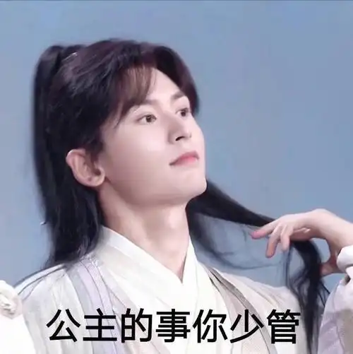 图片山河令表情包