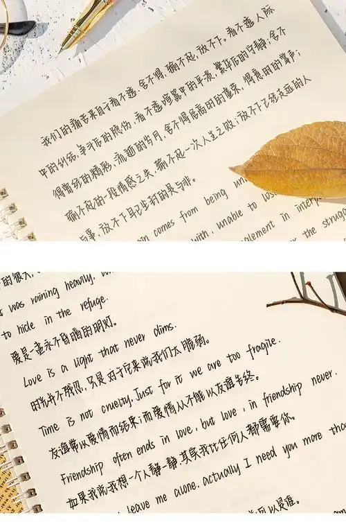 英文练字帖手写体中英速写奶酪陷阱chris.