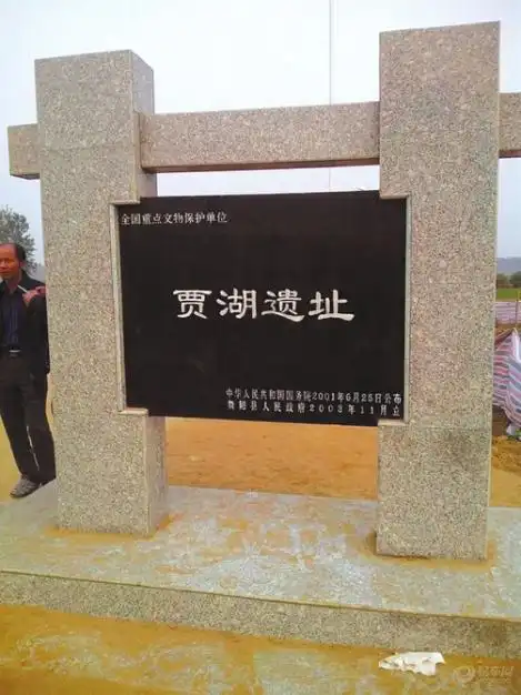 贾湖遗址:将世界酒史向前推了千余年|华西都市报