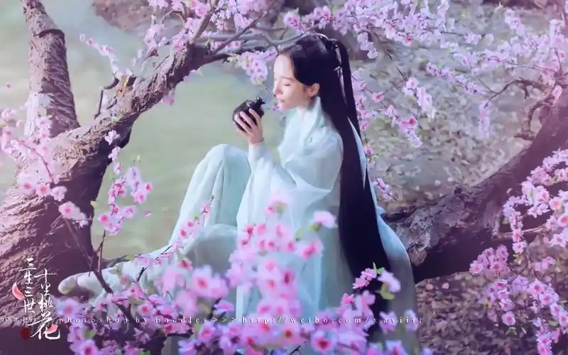 【杨幂x赵丽颖】【白浅x碧瑶】山有木兮