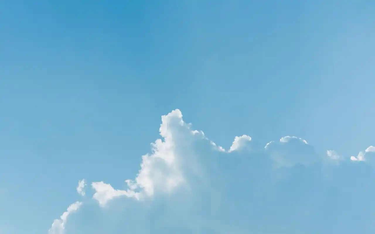 小清新绿色图片桌面壁纸