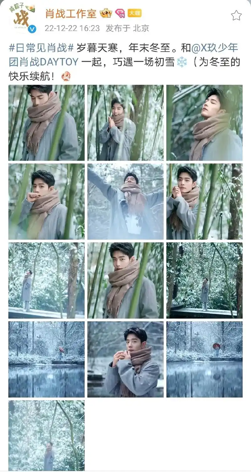肖战冬至竹林大片 xz#日常见肖战 冬至福利!妥妥的冬日恋