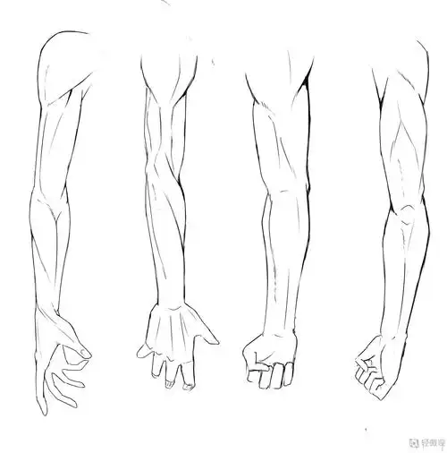 作业:如何学动漫插画之手臂的画法与训练技巧 - 黑米萨玛 - 轻微课