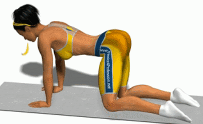 刚才的练习,都是利用的臀部肌肉的伸髋功能进行锻炼.