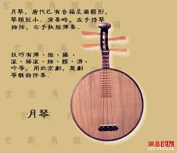 乐器篇对中国民族乐器一见钟情